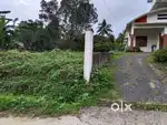 10 Cent Plain Dry Land in Muttil Wayanad