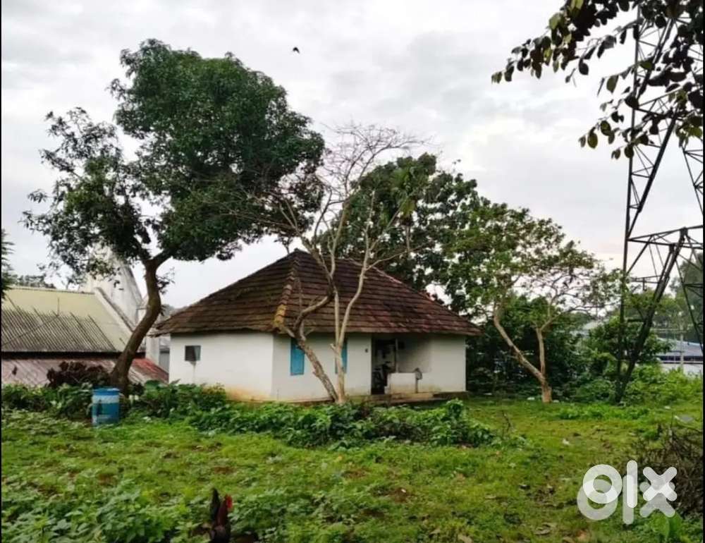 20 to 30 cents of land in kothamangalam town for rent
