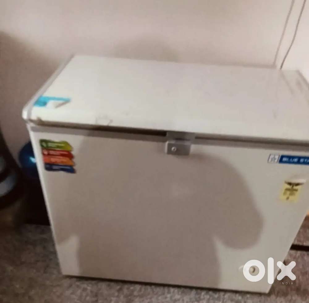 Blue Star frozen fridge 230L