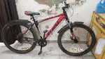 29 Inch cycle