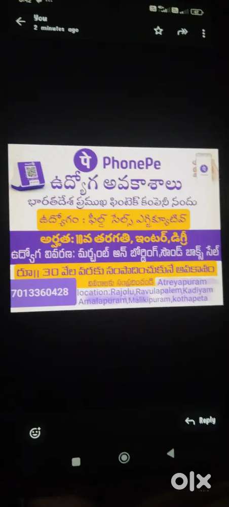 Phonpe sales promoter