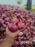 Onion sale