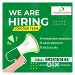 Marketing Executive Wanted