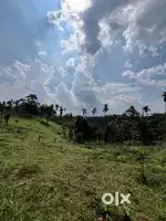 Near ambalavayal