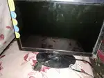 Computer and accessories