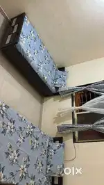 Luxurious co living pg in hinjewadi
