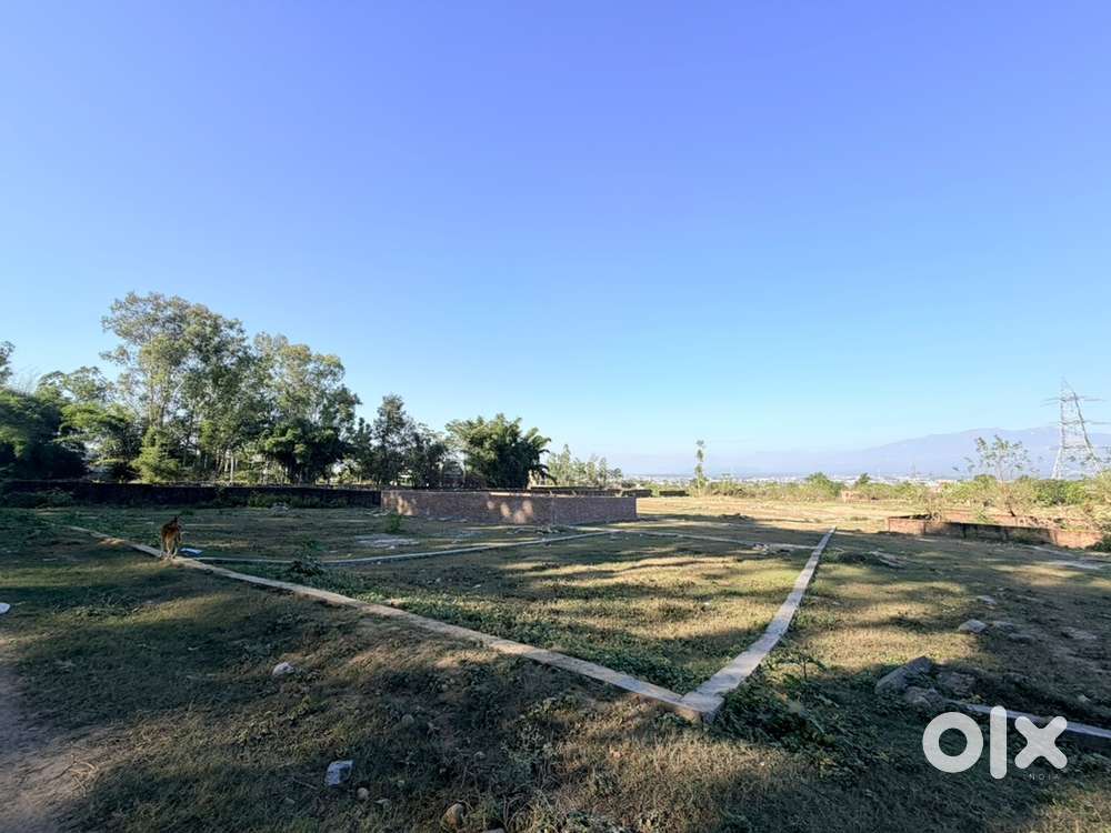 Forest view facing with very Low AQI