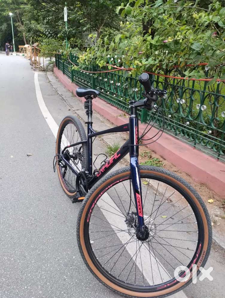 24 Gear Cycle - Cradiac Concept