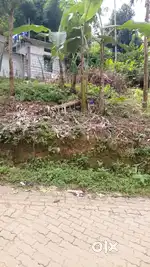 Selling  my land