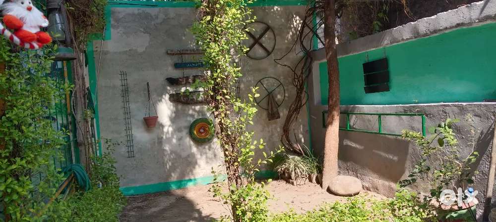 75 gaj mai house in basement & mini garden