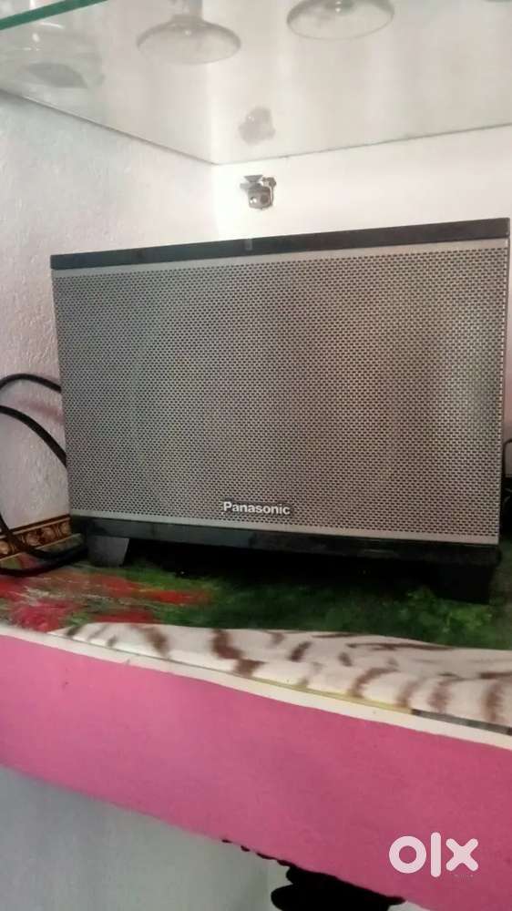 Panasonic speaker