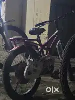 Mercury bicycle