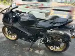 Black golden