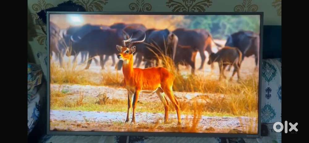  VU 55-inch Smart LED TV with Dolby Audio – Excellent Condition!