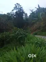 General land for sale at chujachen pam contact number