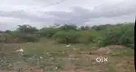 9 cent land sale