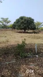 Plot for sale