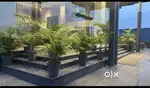 Fully furnished office for rent in industrialarea phase 8b mohali