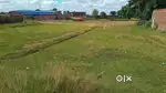 7 Dismil Plot In Angada