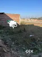 Approved colony