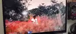 Urgent Sale SHARP AQUOS QUATTRON technology 72''INCH Best LED TV