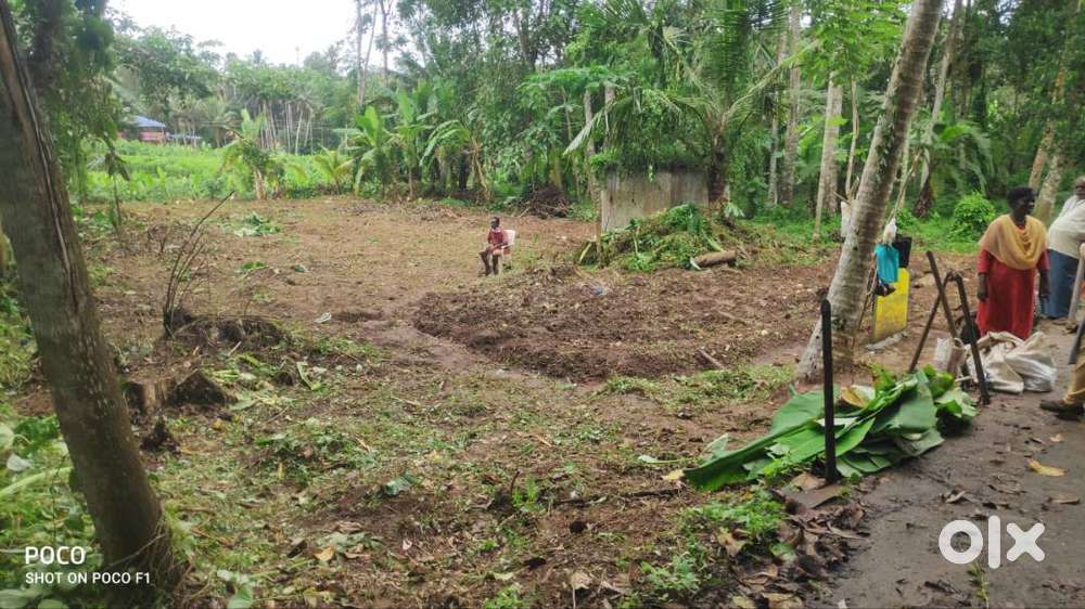 18.5 cent Square plot for sale