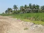 Land in Joka/NH117 plot available