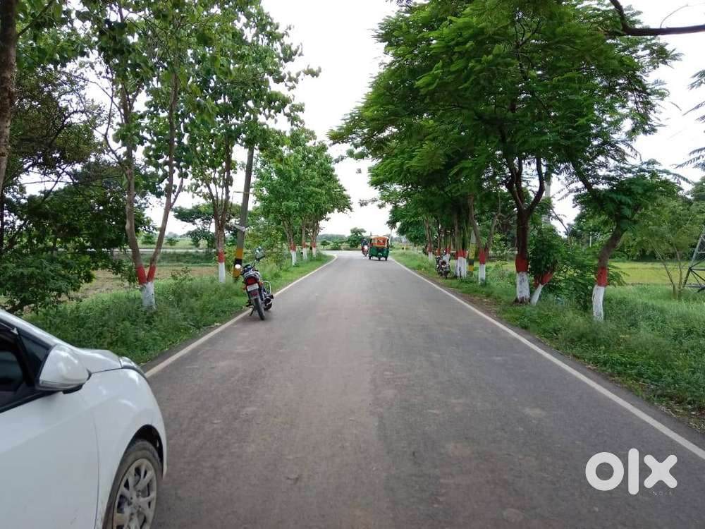 Plot for sale near IIT Patna