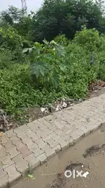 गहराई है 70 फरेट 17 रेट है 65000 रूपय गज