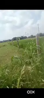 Agriculture land at good location.