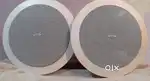 Tannoy ceiling speaker woofer
