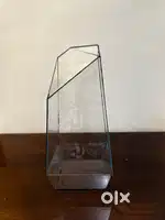 Finesse Terrarium Container