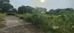 Sector 7 saddu housing board colony