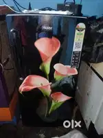 Brand new Haier fridge