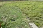 2.5  katha land near bhalobasha more muri factory, registred land.