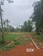 8 cent Housing Plot payyanur
Thayineri 300 mtr
