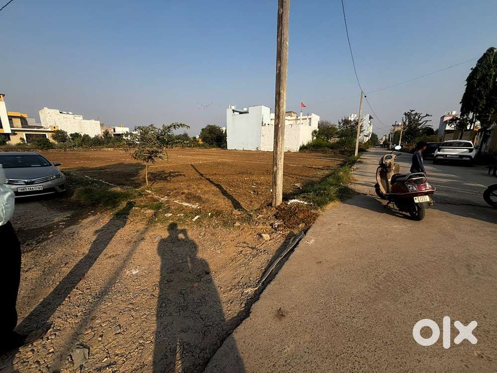 Sarpanch colony Near CSD Colony Behror