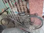 Avon cycle