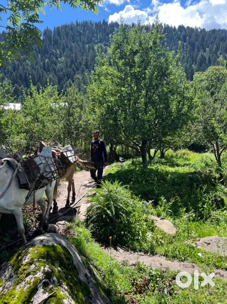 Dadabari extension 4-A-10