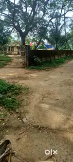 2.8 acres of farmhouse, with houses, electricity near satasankh,puri