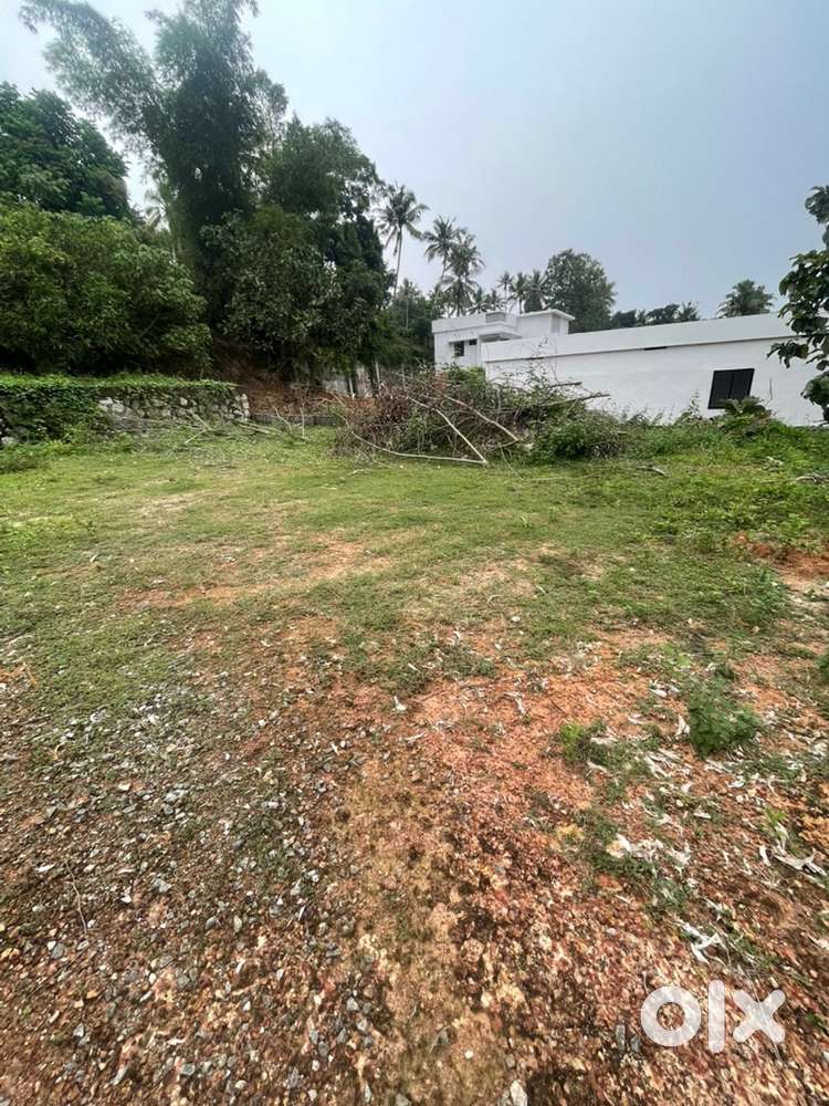 Each plot 5 cents (total 3 plots)