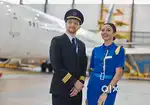 JOBS in indigo Airlines urgent hiring apply