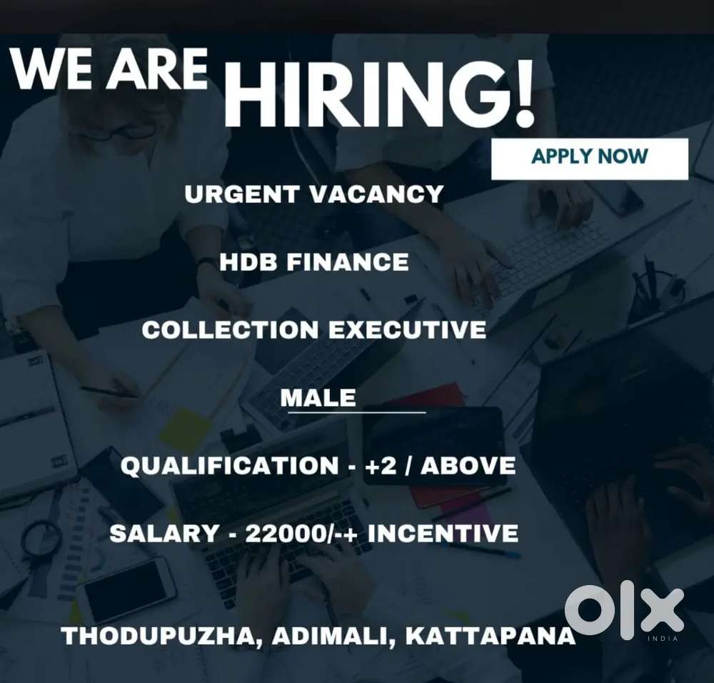 Collection executive