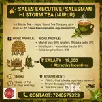 Sales executive  Salesmam
