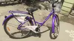 Ladybird bicycle