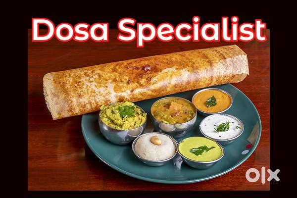 South Indian Cook - Required at Banga Punjab