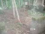 8 cent land near maruthurkoanam govt school, main road to only 250 mtr