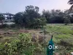 Land for rent