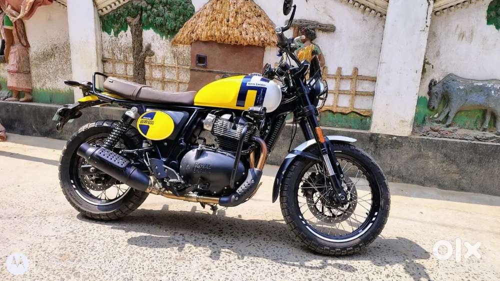 Bear 650 Wild Honey