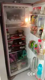 Fridge singal dor